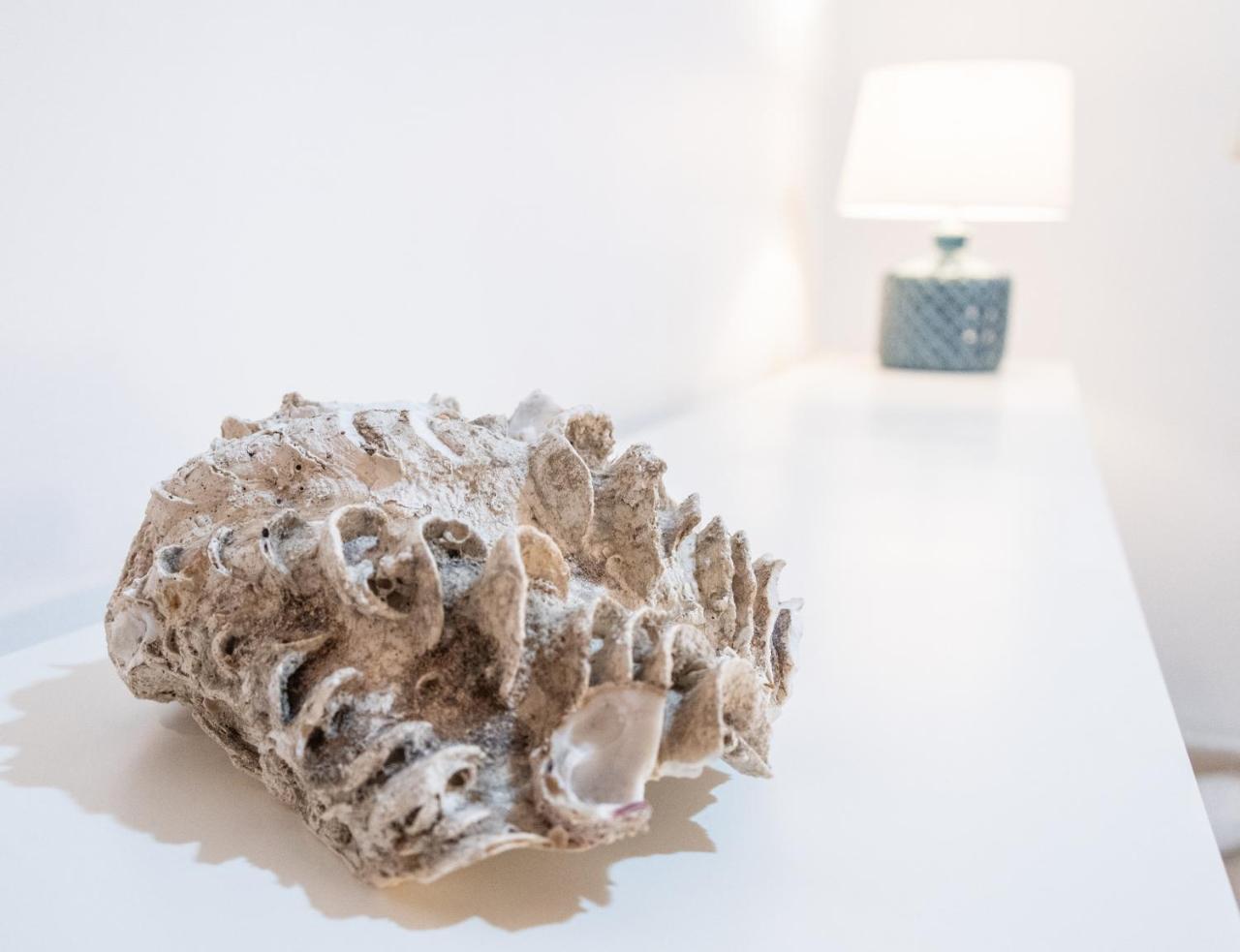 Apartamento Del Pescador De Cadiz Apartman Kültér fotó